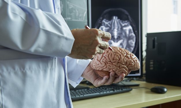 CNN: Stress might lead to memory loss and brain shrinkage, study says