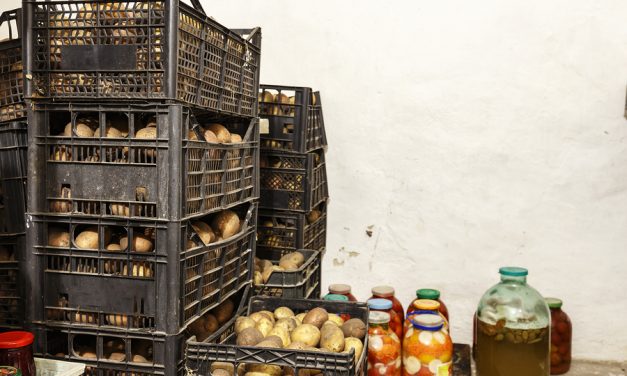 The lost art of pantries and root cellars