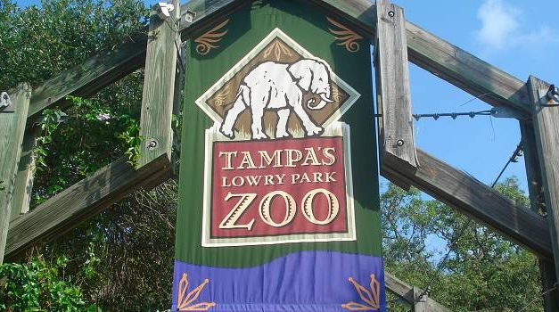 Vet for Tampa Zoo accused of killing manatees through malpractice