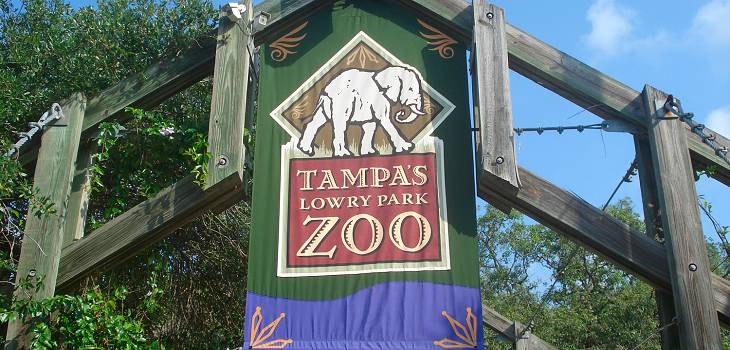 Vet for Tampa Zoo accused of killing manatees through malpractice