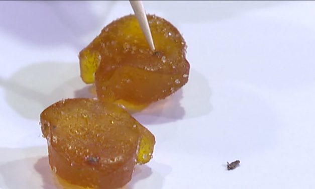 Fox: Metal shavings found in toddler’s intestines after eating Zarbee’s multivitamins which Johnson & Johnson acquired