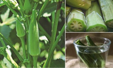 4 health benefits of drinking Okra Water and how to make your own at home