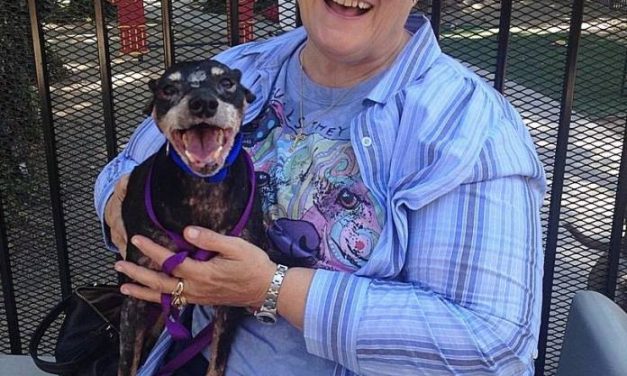 Woman asks shelter for oldest, hardest to adopt dog that no one wants. Here’s who they gave her