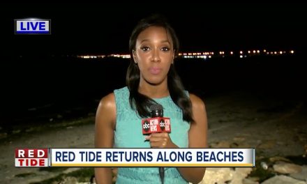 ABC: As Red Tide returns to Florida coast, government shutdown affects efforts to track it