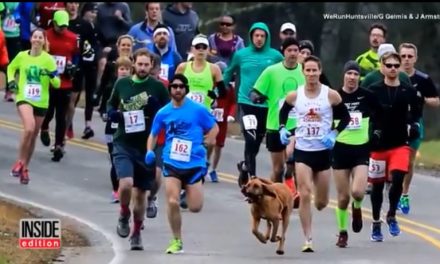 Dog accidentally runs half-marathon after being let out for pee, finishes 7th