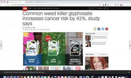 CNN: Common weed killer glyphosate increases cancer risk by 41%, study says