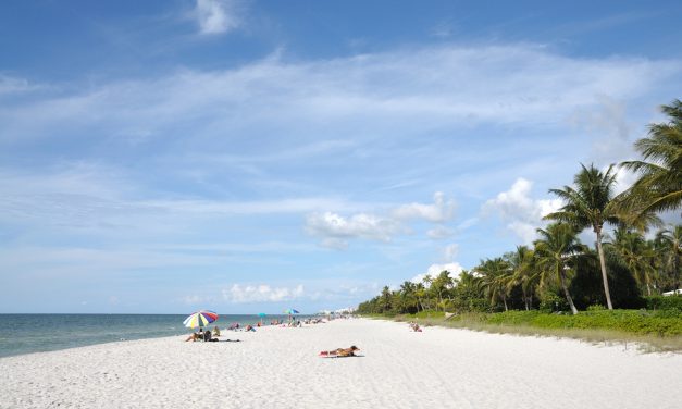 Florida waters are testing entirely free of red tide organism says FWC