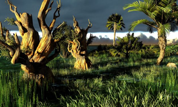 FORBES: Florida court orders drilling in Everglades (What the frack SW Florida?!)