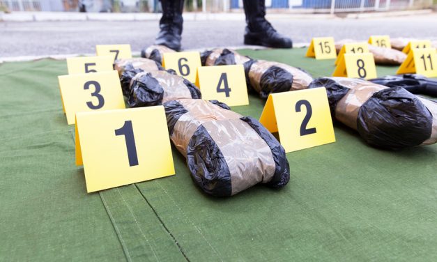 Fox: DEA looking for contractor to burn 1,000 pounds of marijuana per hour