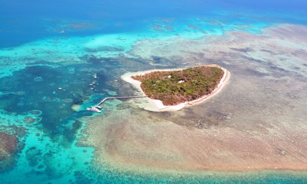 BBC: Great Barrier Reef: One million tons of sludge to be dumped