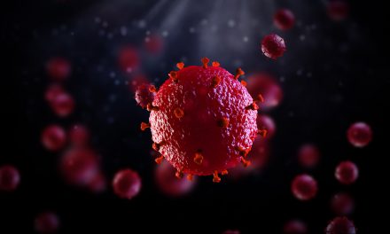 BBC: UK patient free of HIV after stem cell treatment