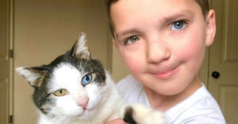 Bullied boy rescues a cat with rare eye condition and cleft lip just like him, and their friendship is adorable
