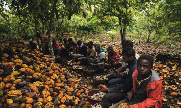 U.S. appeals court revives Nestle child slavery lawsuit