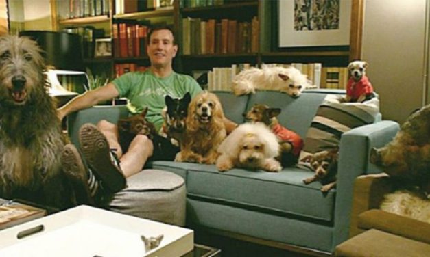 Man visits shelters to ask for dogs that no one wants, ends up adopting 10 senior canines