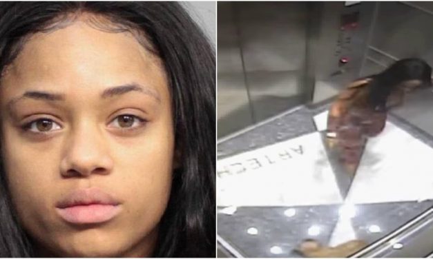 An Instagram model has been granted probation for stomping on her tiny dog