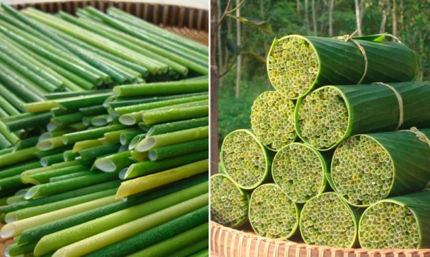 Vietnamese man makes & sells straws out of wild grass found in Mekong delta