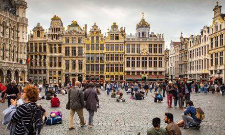 Brussels becomes first major city to halt 5G due to health effects