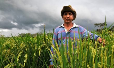 Bolivia to be completely food independent in 2020 by investing in small farmers