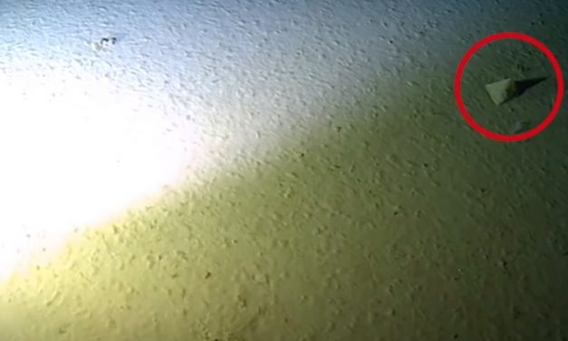 Record-breaking diver finds plastic bag in deepest part of ocean