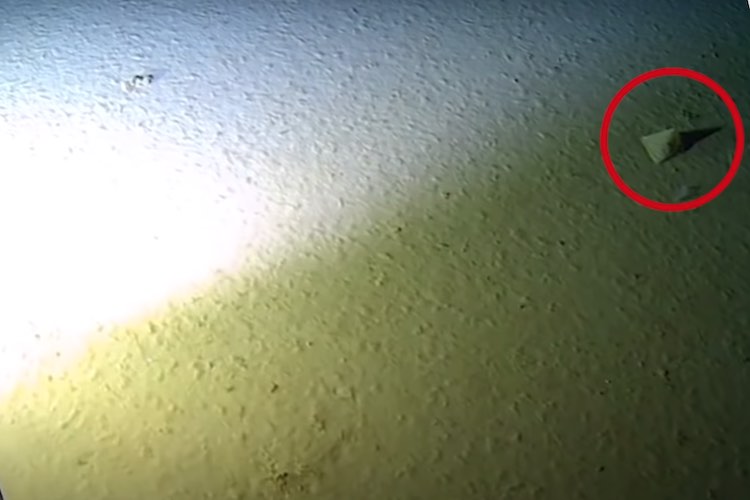 Record-breaking diver finds plastic bag in deepest part of ocean