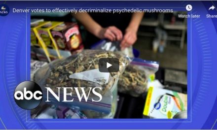 Denver first in U.S. to decriminalize psychedelic mushrooms