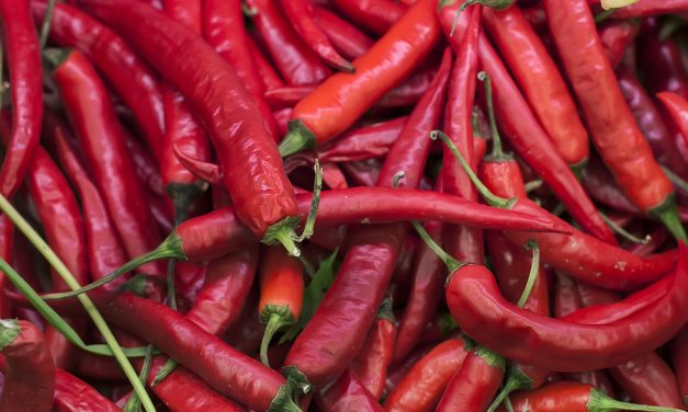 The link between nightshades, chronic pain and inflammation