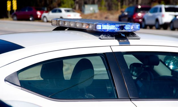 Cops to Florida woman: ‘Do you have anything else?’ She pulled a gator from her pants.