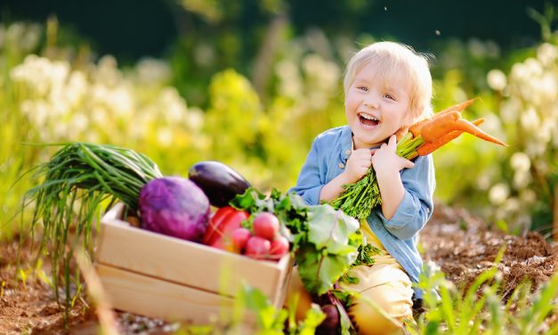 FOX: Doctors: Parents raising vegan kids should be prosecuted