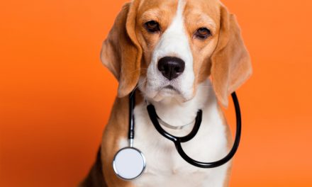 Can your dog sniff out cancer?