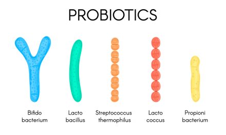 Experts say that “this” is the best time to take probiotics for your best gut health