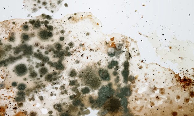Black Mold Slowly Poisoned This Woman for 35 Years