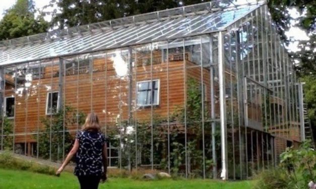 Swedish Couple Builds Greenhouse Around Home to Stay Warm and Grow Food All Year Long