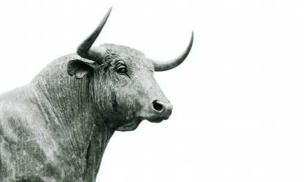 Historic Success: Supreme Court of Spain Bans 500 Year-Old Bullfighting “Toro de la Vega”