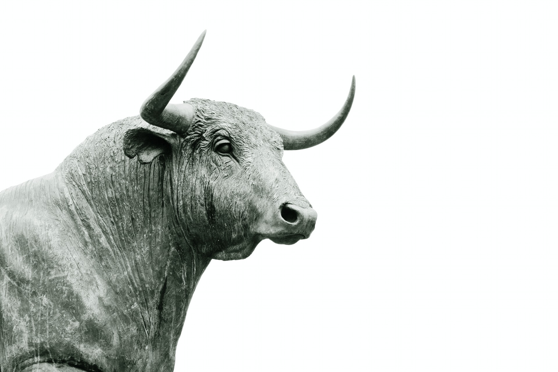 Historic Success: Supreme Court of Spain Bans 500 Year-Old Bullfighting “Toro de la Vega”