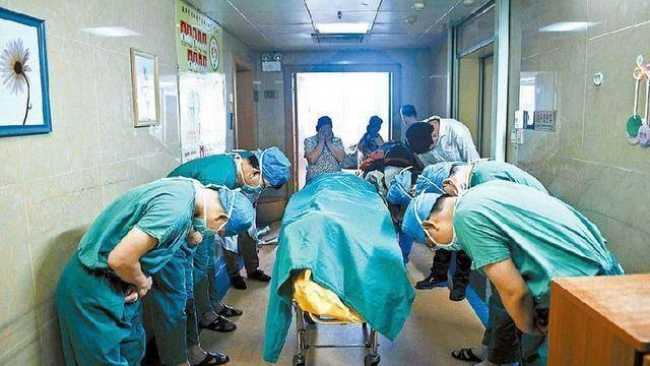 IFLScience: Doctors Bow After 11-Year-Old Brain Tumor Patient Donates Organs