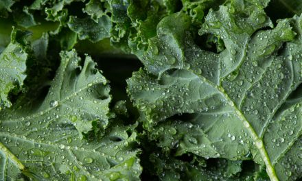 Kale is Now One of The Most Pesticide-Contaminated Vegetables: How To Spot The Safest Kind