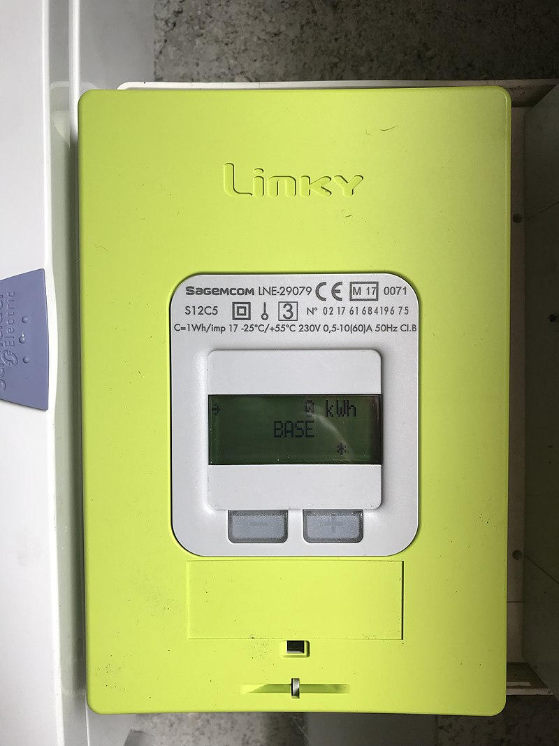 French court orders the removal of smart meter for health reasons