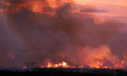 Record Number of Fires Burning in Amazon Rainforest