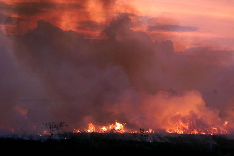 Record Number of Fires Burning in Amazon Rainforest