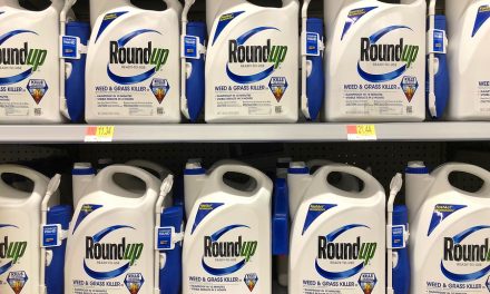 CBS: Weed Killer Found In Kids At Higher Levels Than Parents