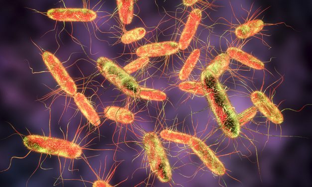 CNN: FDA Cautions Against Feeding Your Dog This Brand After a Sample Shows Salmonella