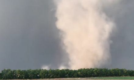 FOX: Davis, CA Tornado ‘Has Been Confirmed’: Weather Service Reveals New details on Rare Event
