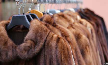 HuffPost: California Becomes First State To Ban The Sale Of Fur Products