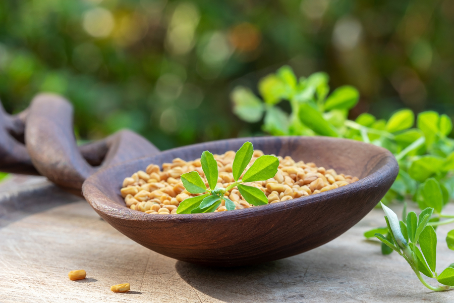 Can Fenugreek Improve Your Blood Sugar?