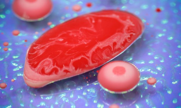 CNN: Yet Another Celebrity Comes Forward with Ehlers Danlos, Which is what our Founder Erin Has