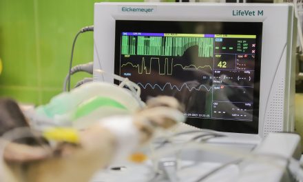 AP: Big Study Casts Doubt on Need for Many Heart Procedures
