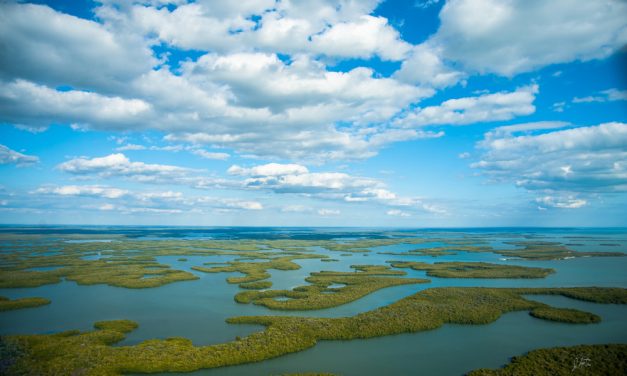 Florida Buys Everglades Land to Prevent Oil Drilling