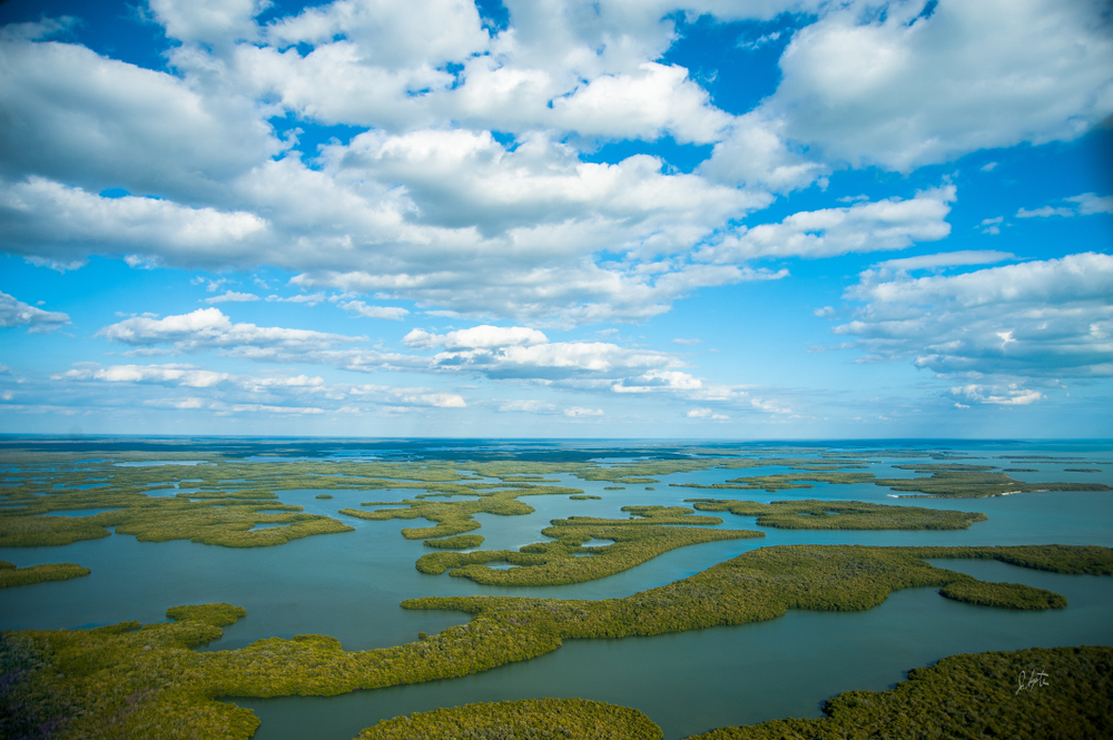 Florida Buys Everglades Land to Prevent Oil Drilling