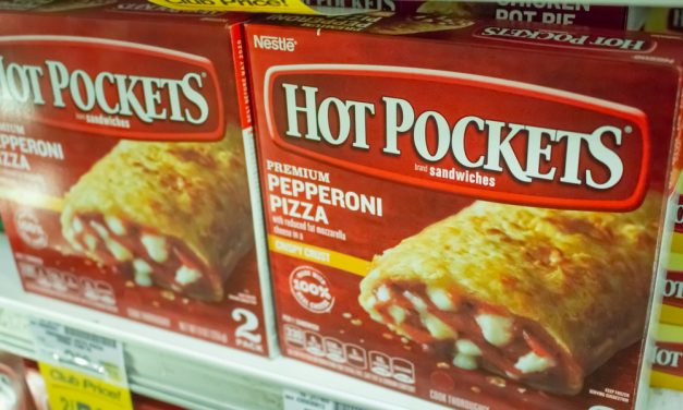 CNN: Hot Pockets Heiress Michelle Janavs Sentenced to 5 Months Imprisonment in College Admissions Scam