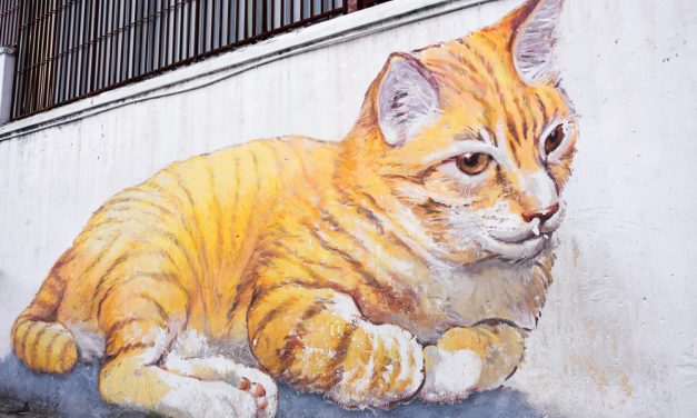 An Anonymous Hero in the UK is Covering Vile, Racist Graffiti With Lovely Cat Photos